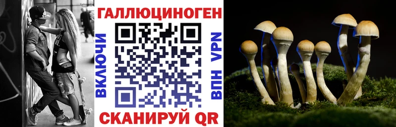 Псилоцибиновые грибы Psilocybe  Купить  Апатиты 